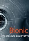Bionic Eyes article graphic link image.